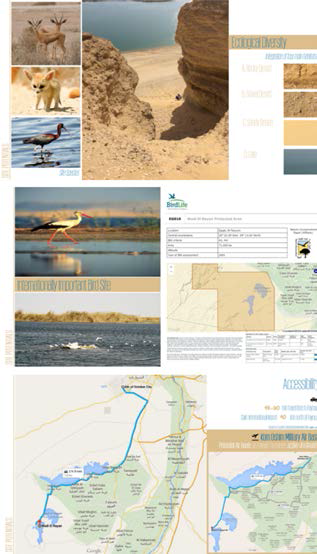 Amira_AbdelRahman_Portfolio_Page_30_Image_0003