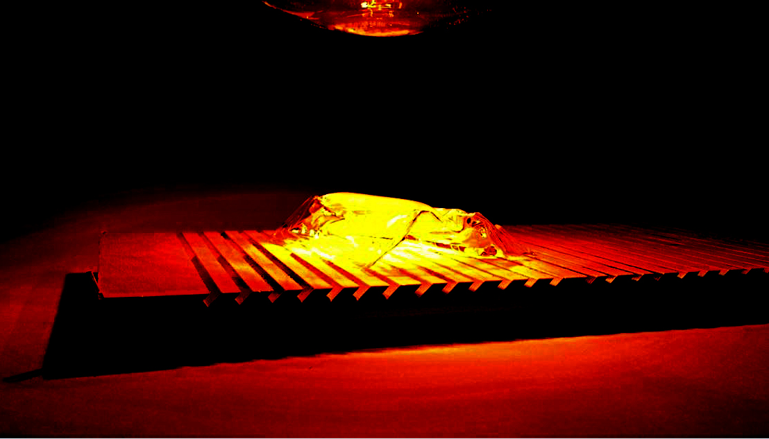 aaa